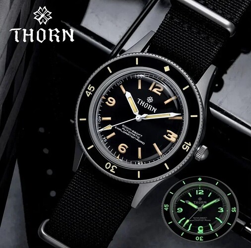 Screenshot_20240303_193357_Gallery