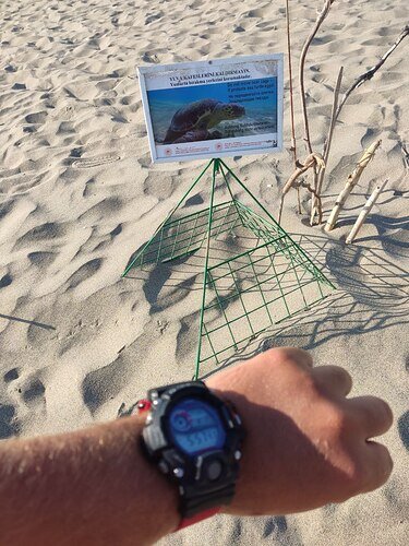 IMG_20220802_204951_230