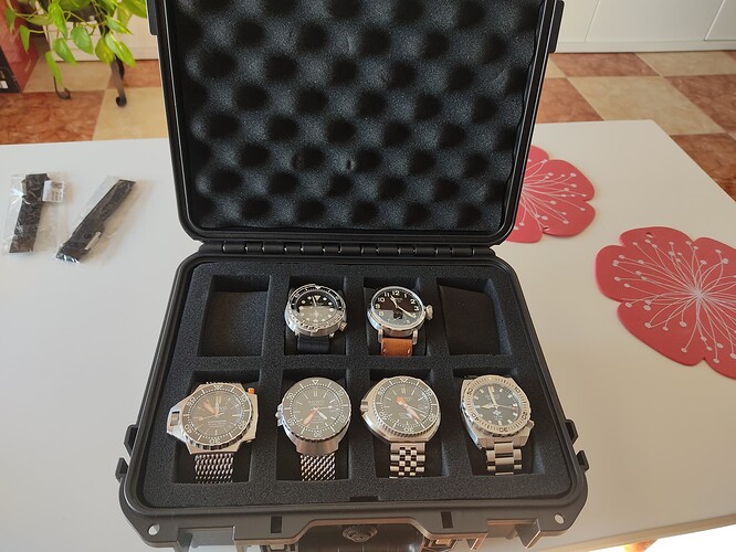 17015217293893567482544626861360