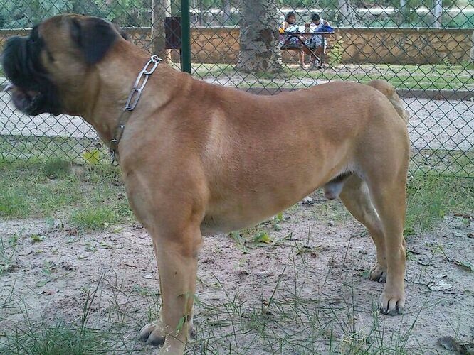 IMG-20130725-WA002-2