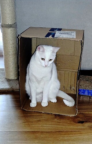 IMG_20240608_153918