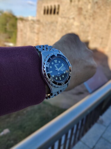 IMG_20231130_111105_Bokeh