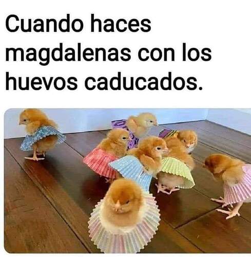 FB_IMG_1724524813863