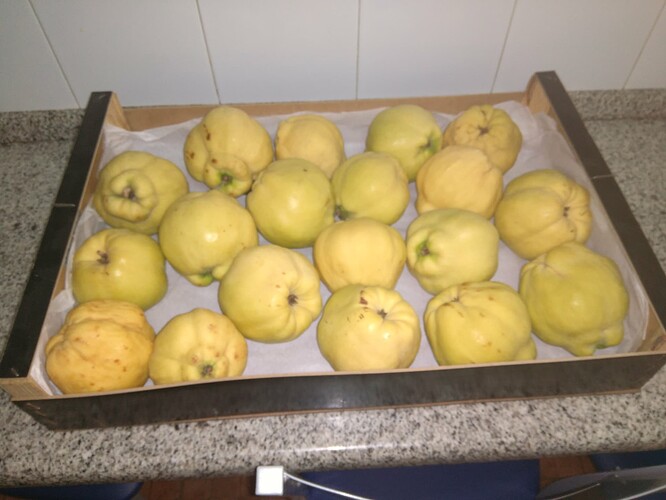 SAVE_20230312_123658