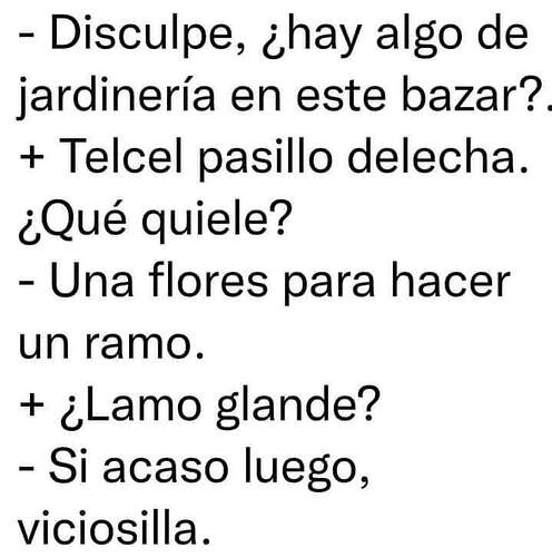 FB_IMG_1724360213478