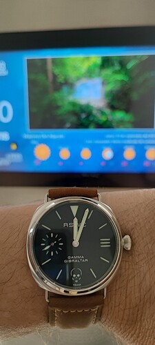 1000039267