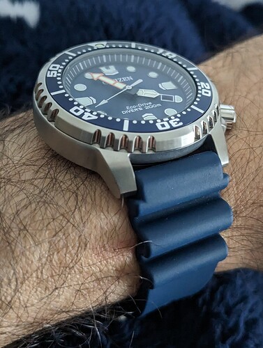 PXL_20230331_135440288~2