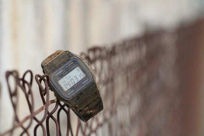 20230409125344_IMG_6452