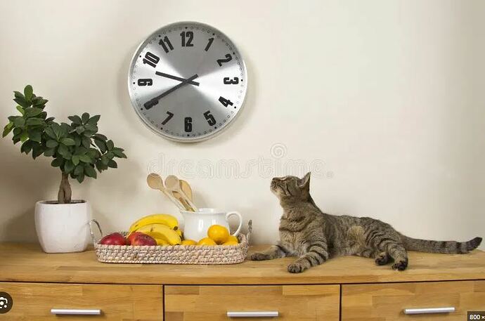 istockphoto-491261954-170667b