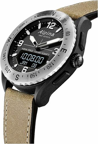 71brXLy5eSL.AC_UY1000