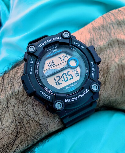 PXL_20240724_100515815~2