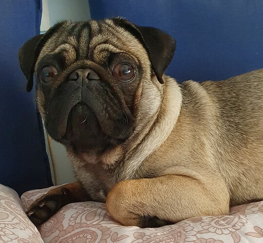 20200425_214836_52190