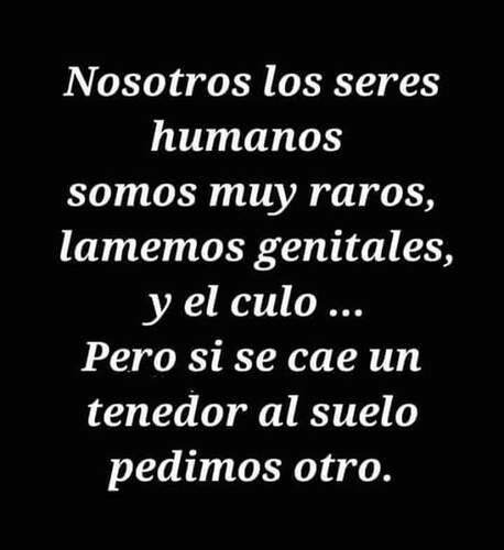 FB_IMG_1724990334838