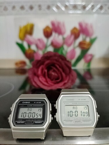 IMG_20221219_100107_1-01