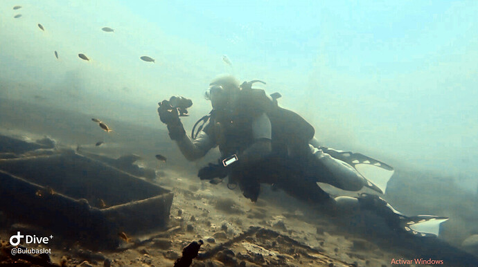 2019-04-26 20.51.46 Dive+ peq