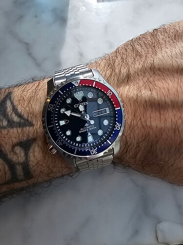 16986629864115835317251893740074