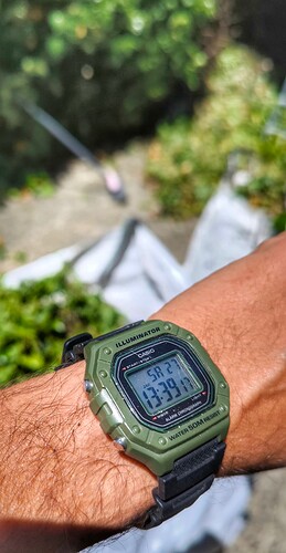 1000104944