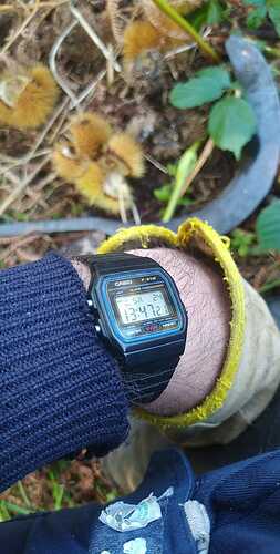 IMG-20221002-WA0005
