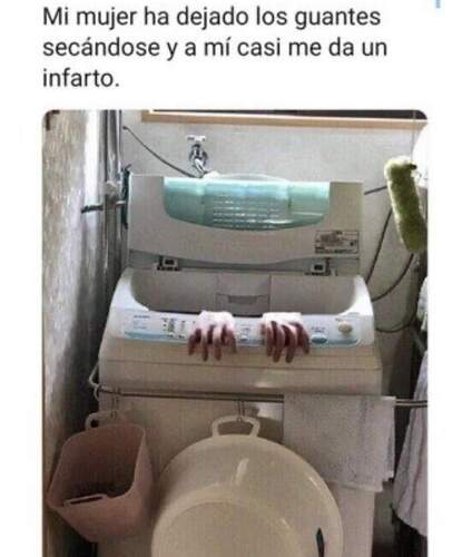 FB_IMG_1727638454999