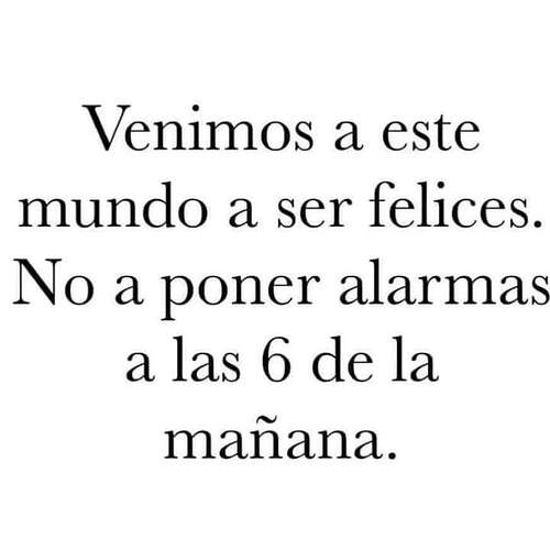 FB_IMG_1727639273502