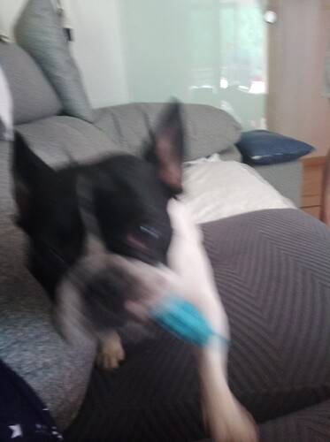 17201096436538274513566641626676