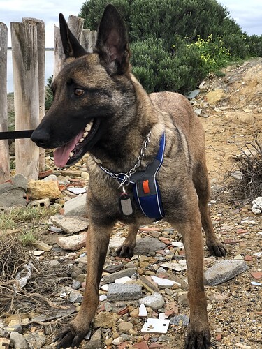 IMG_6736