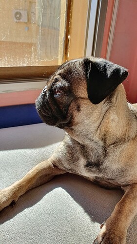 20201209_210047_52284