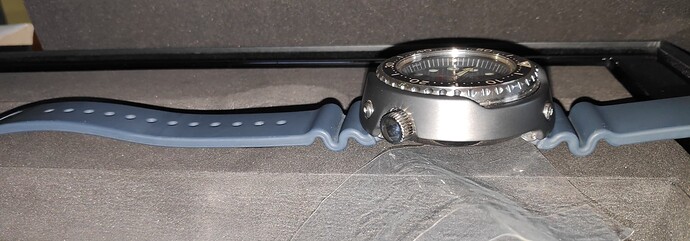 MVIMG_20231108_160151