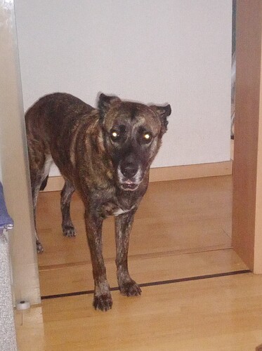 17201094714206219383082552571764