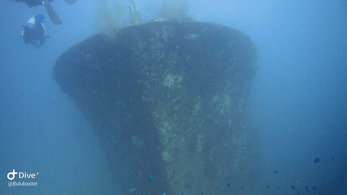 P1011109 Dive+ peq