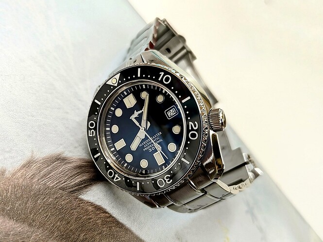 WhatsApp Image 2024-08-24 at 20.10.34