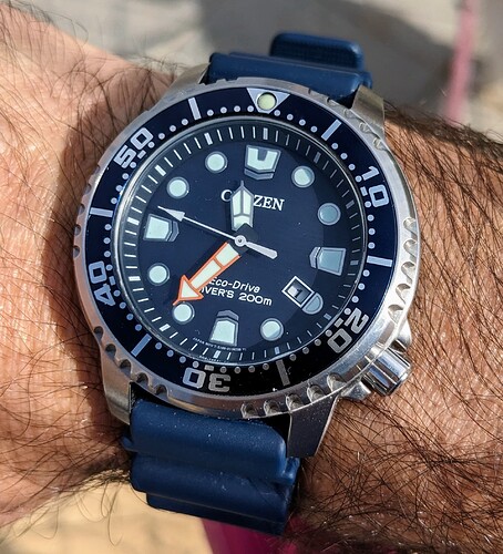 PXL_20231101_103549245~2