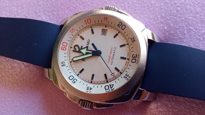 16986597469927017805379950095733