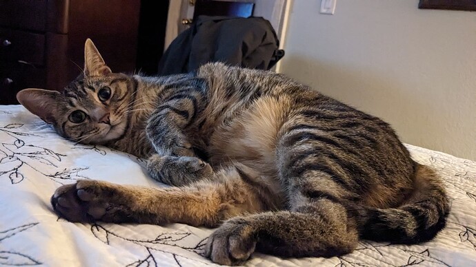 PXL_20240301_030838757