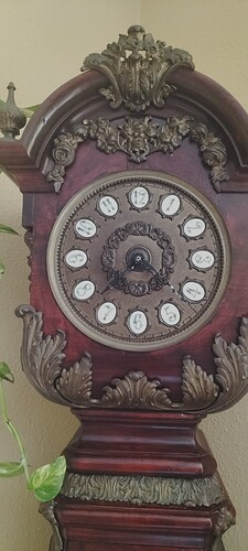 IMG20240728134530