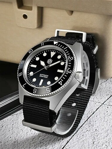 19725209811774417115 (1)