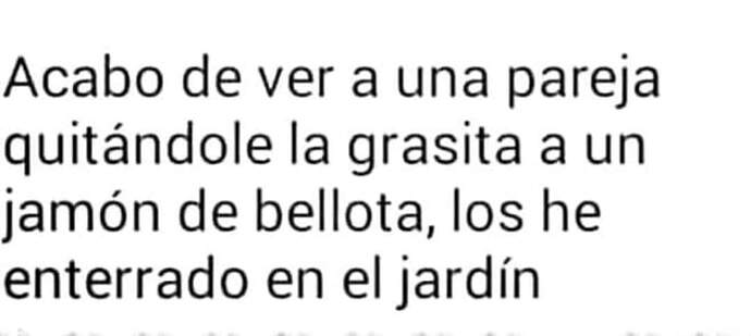 FB_IMG_1724789756957