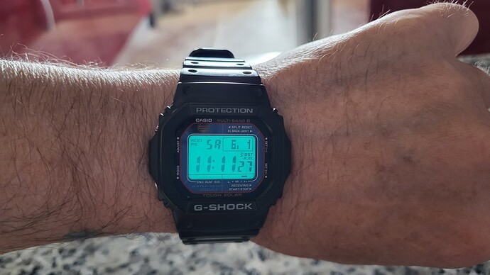1000099336