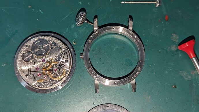 PXL_20231103_222121037.PORTRAIT.ORIGINAL