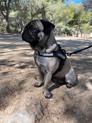 20230302_180522_36918