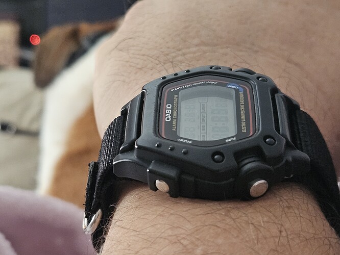 1000077232