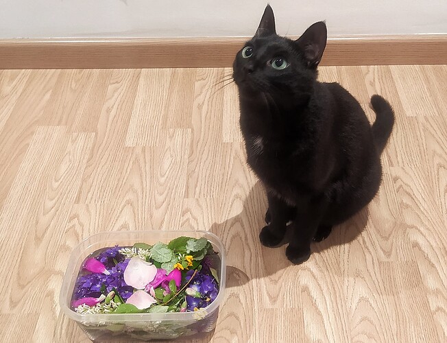 IMG_20240623_230309-01