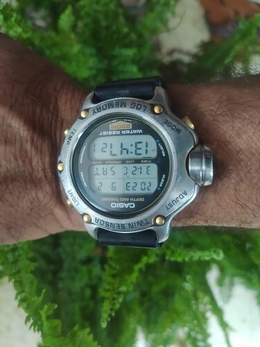 16936552231287621357973606513460