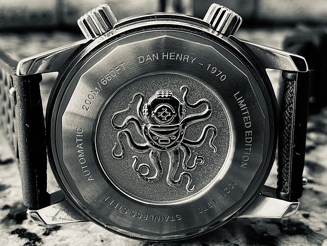 17295286919455976366873836811891