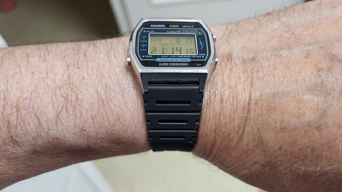 1000101253