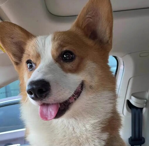 Screenshot_20230814_004302_Alibabacom