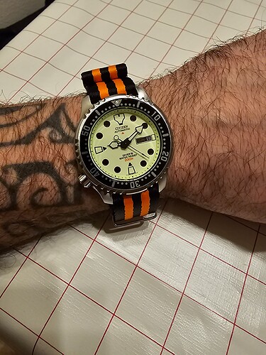 16986101508861687141258667341455