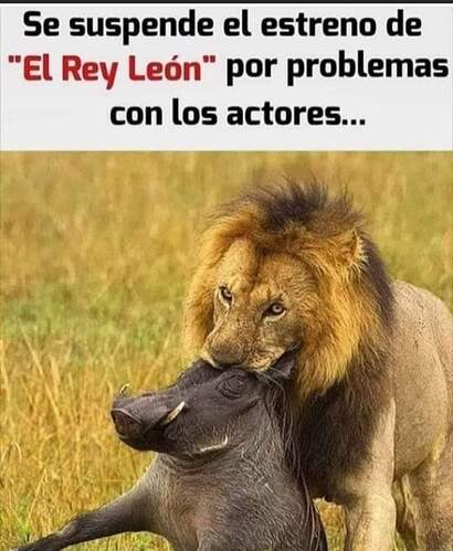 FB_IMG_1724202278185