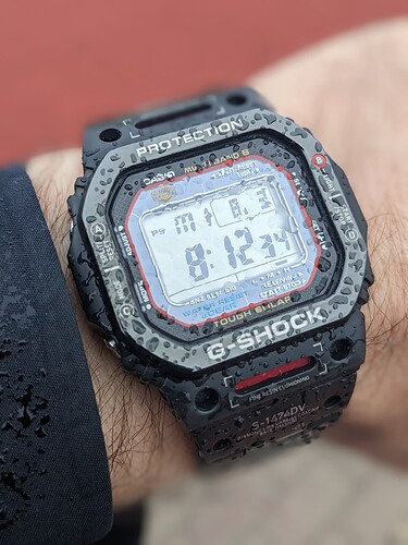 PXL_20230308_071223828.PORTRAIT