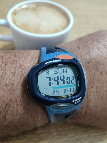 IMG_20240811_081820_495